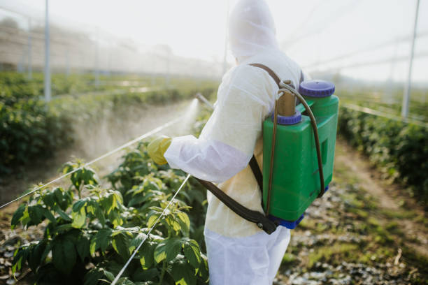 Best Termite Control Services  in Langdon, ND